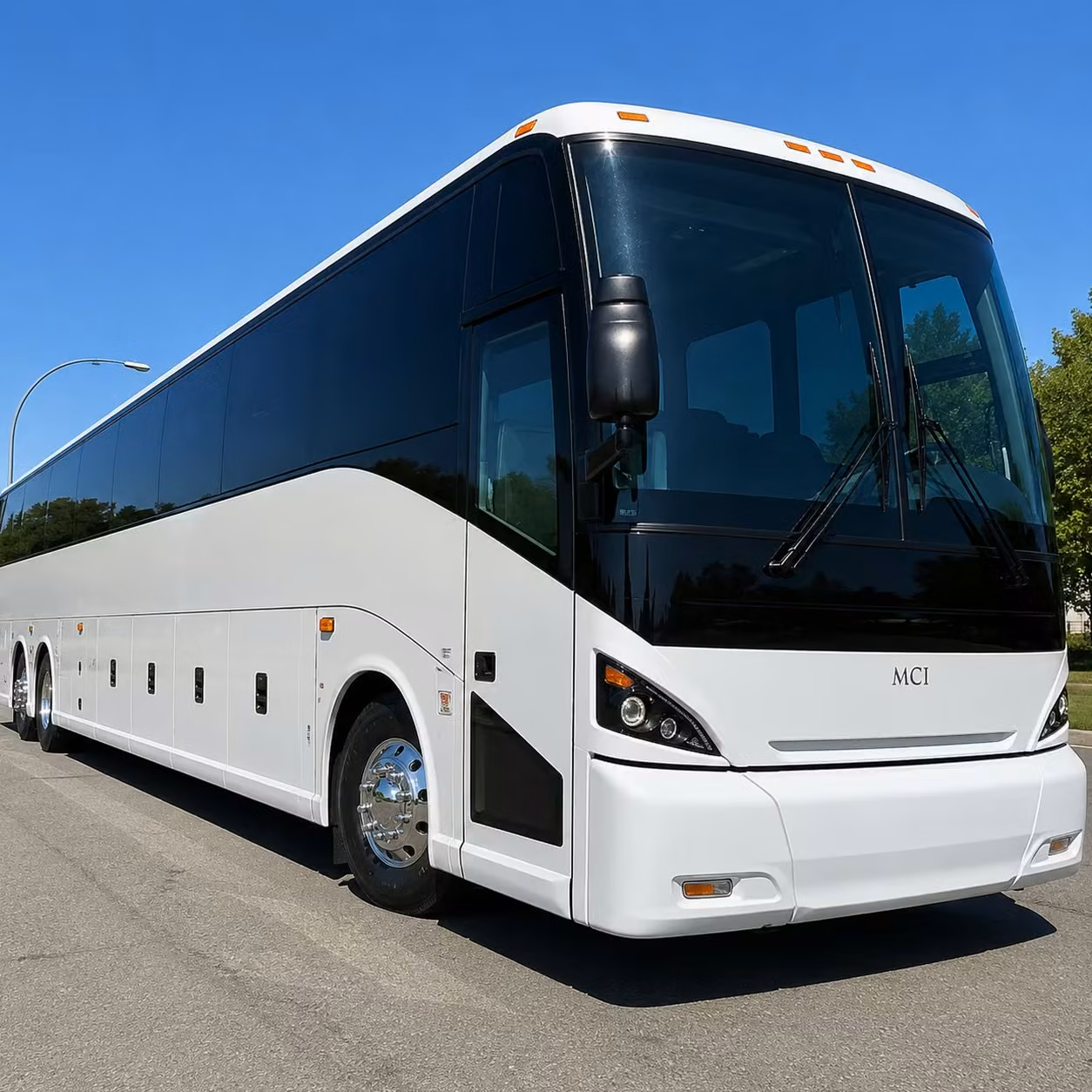 charleston prom homecoming bus rentals